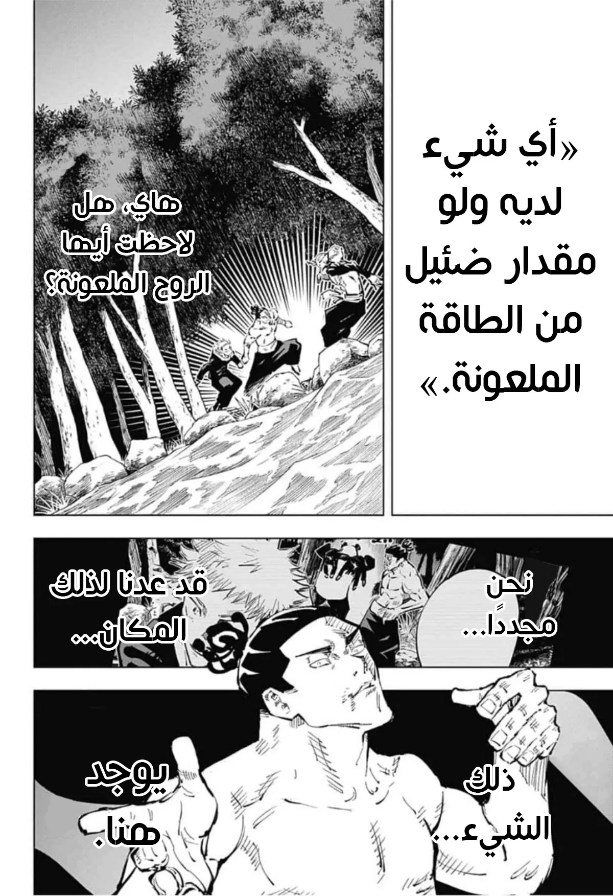 الصفحة 12 من 19