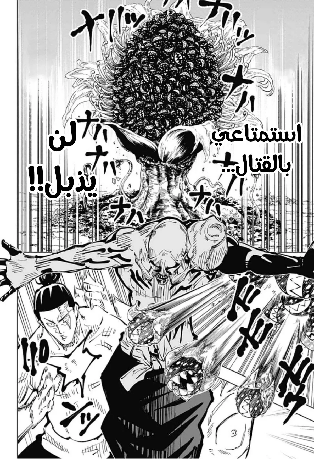 الصفحة 6 من 19