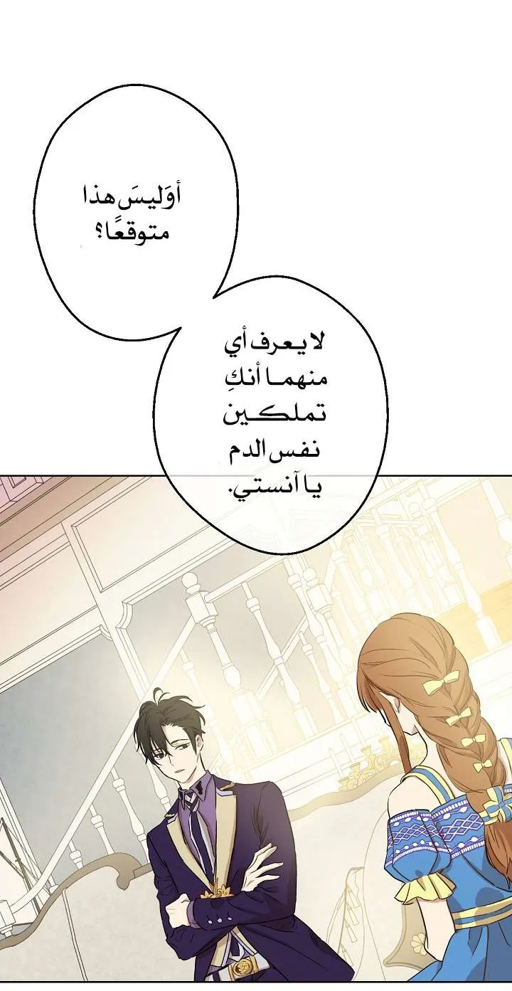 الصفحة 51 من 68