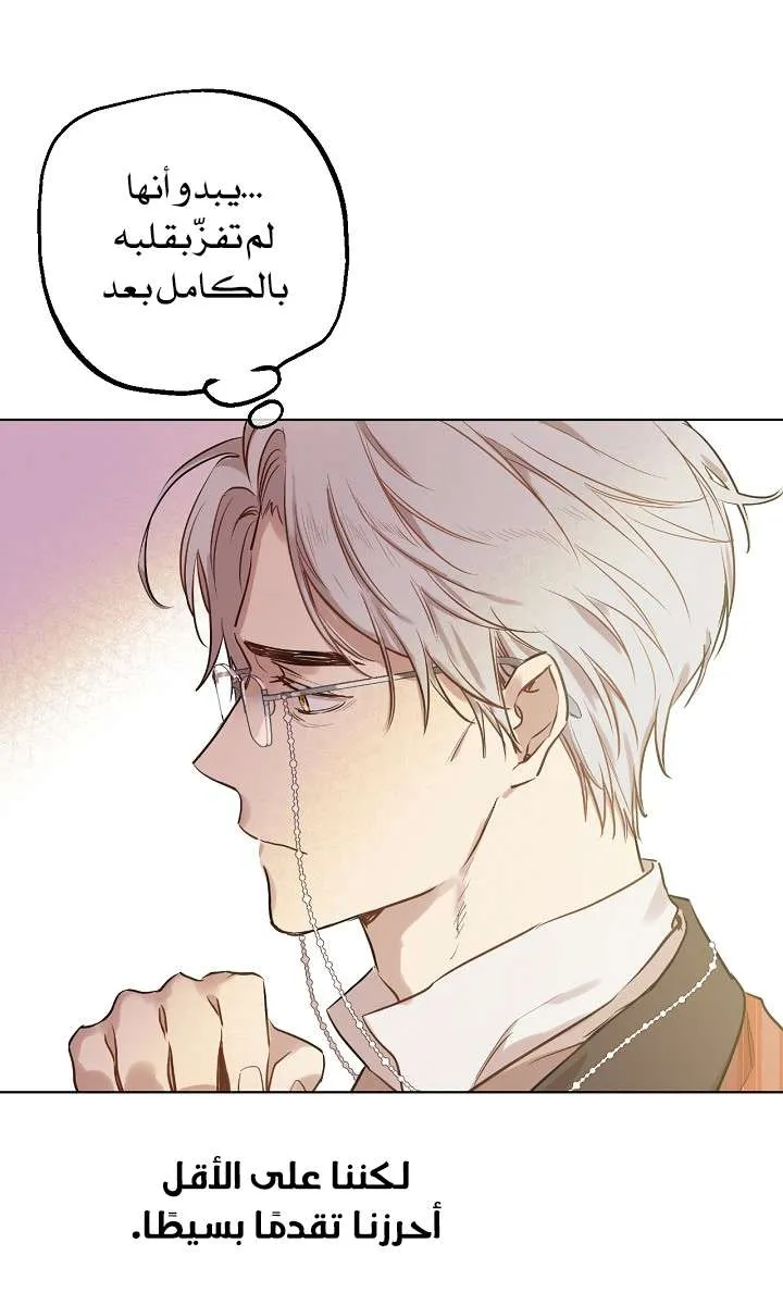 الصفحة 17 من 68