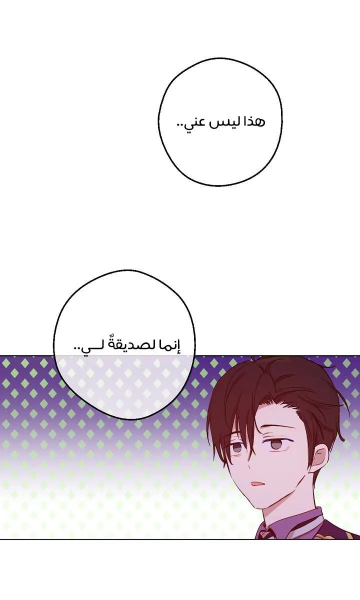 الصفحة 43 من 68