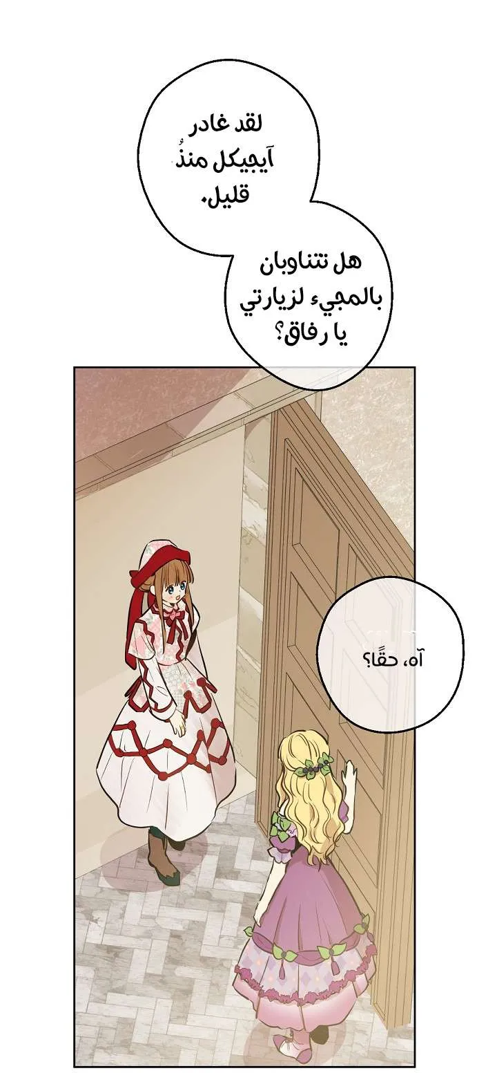 الصفحة 24 من 68