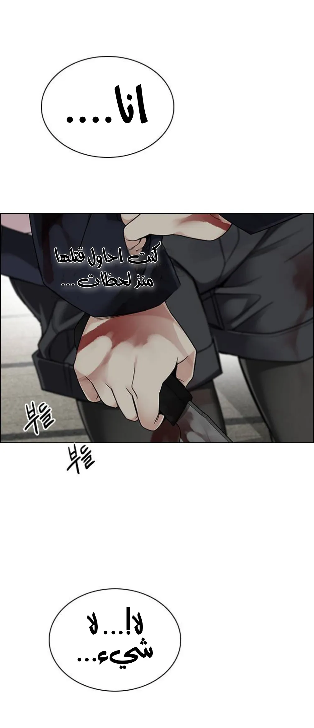 الصفحة 19 من 72