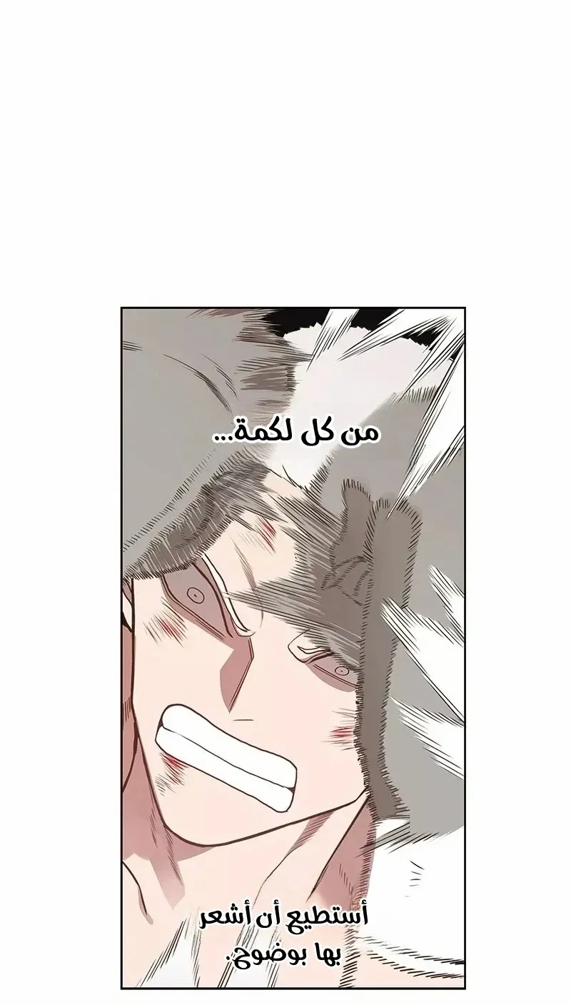 الصفحة 33 من 76