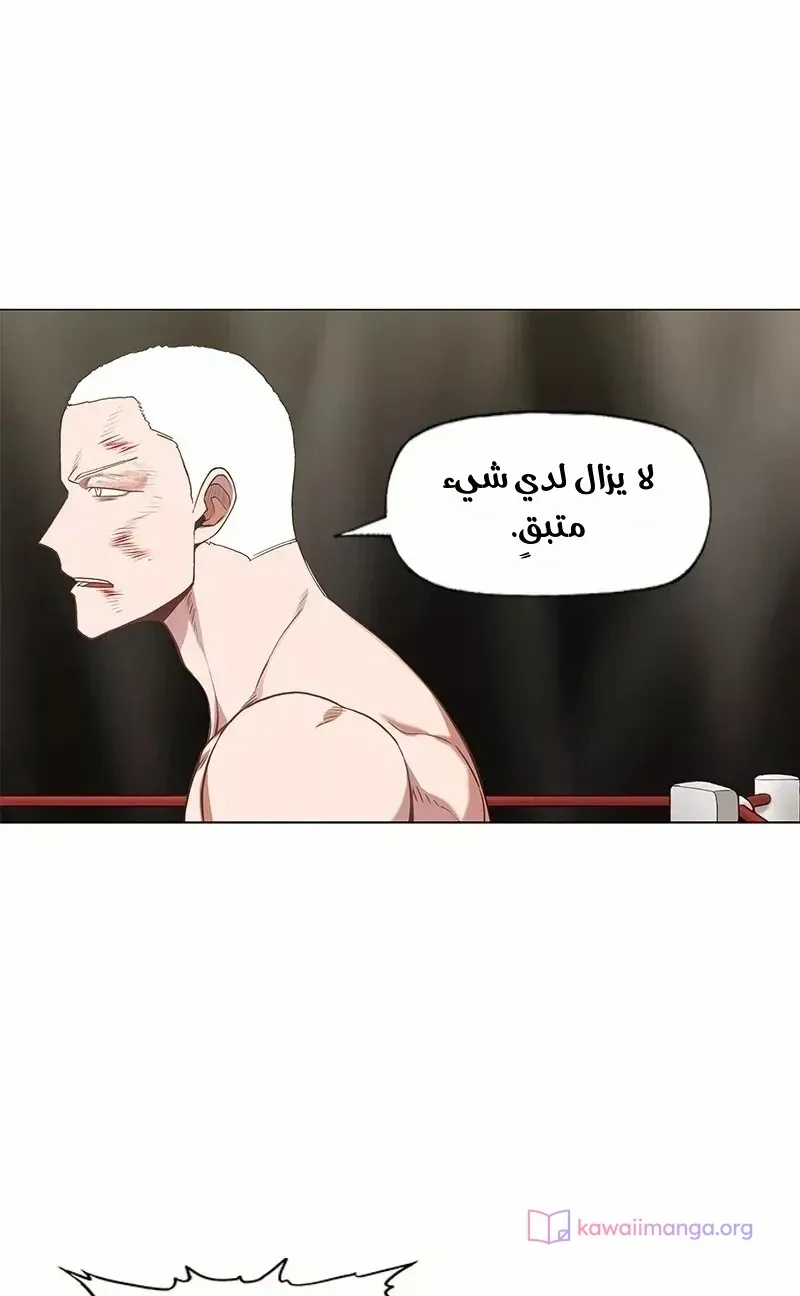 الصفحة 28 من 76