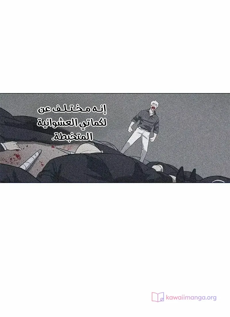 الصفحة 34 من 76