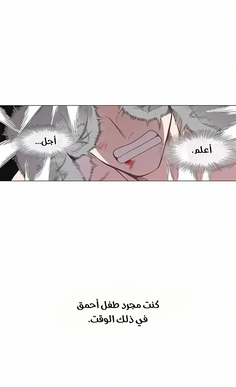 الصفحة 41 من 76