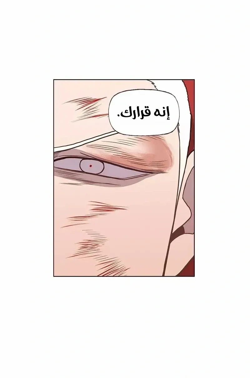 الصفحة 23 من 76