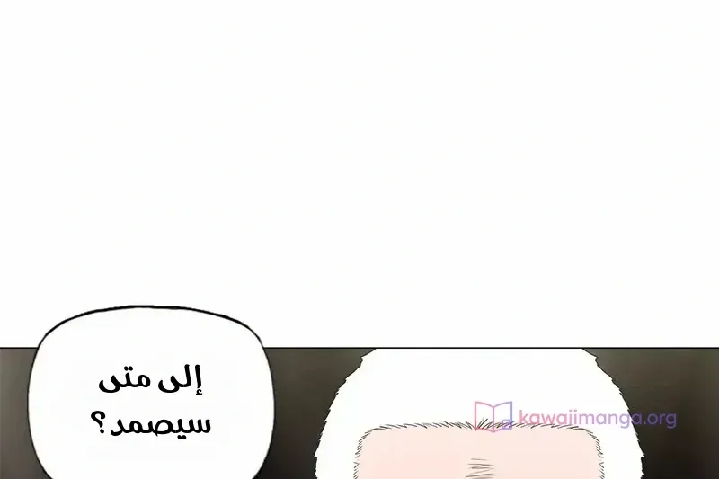 الصفحة 19 من 76