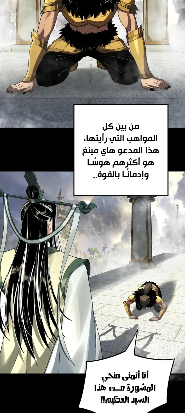 الصفحة 24 من 50