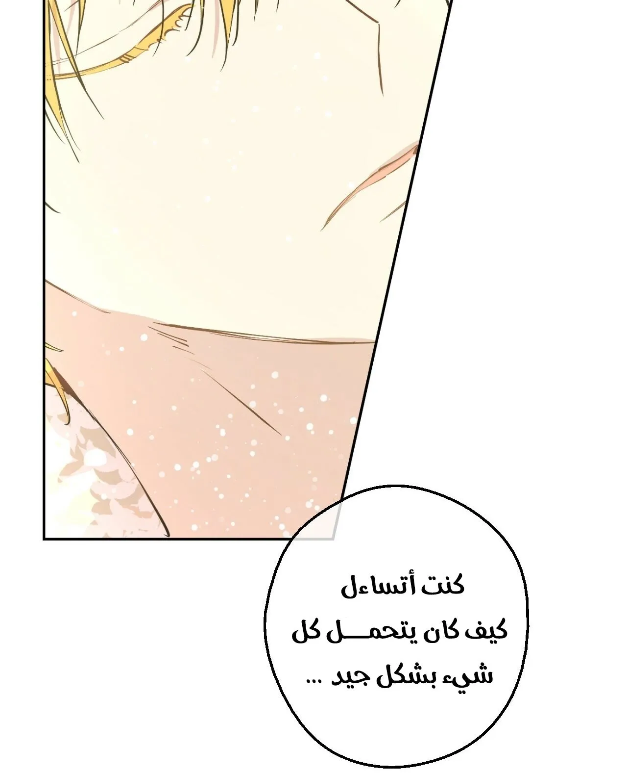 الصفحة 96 من 101