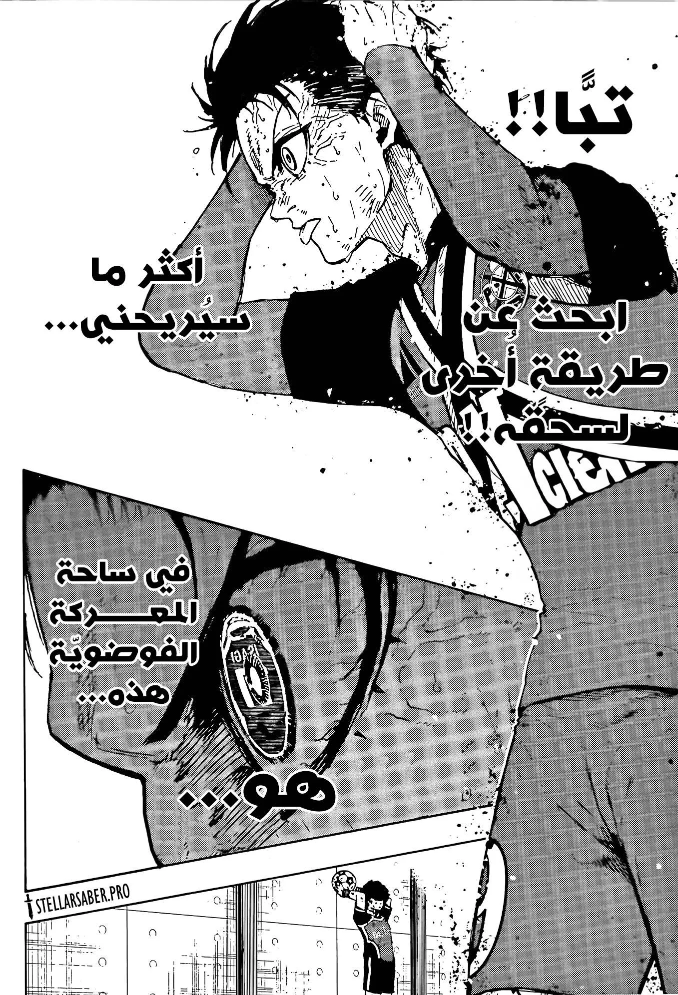 الصفحة 8 من 19
