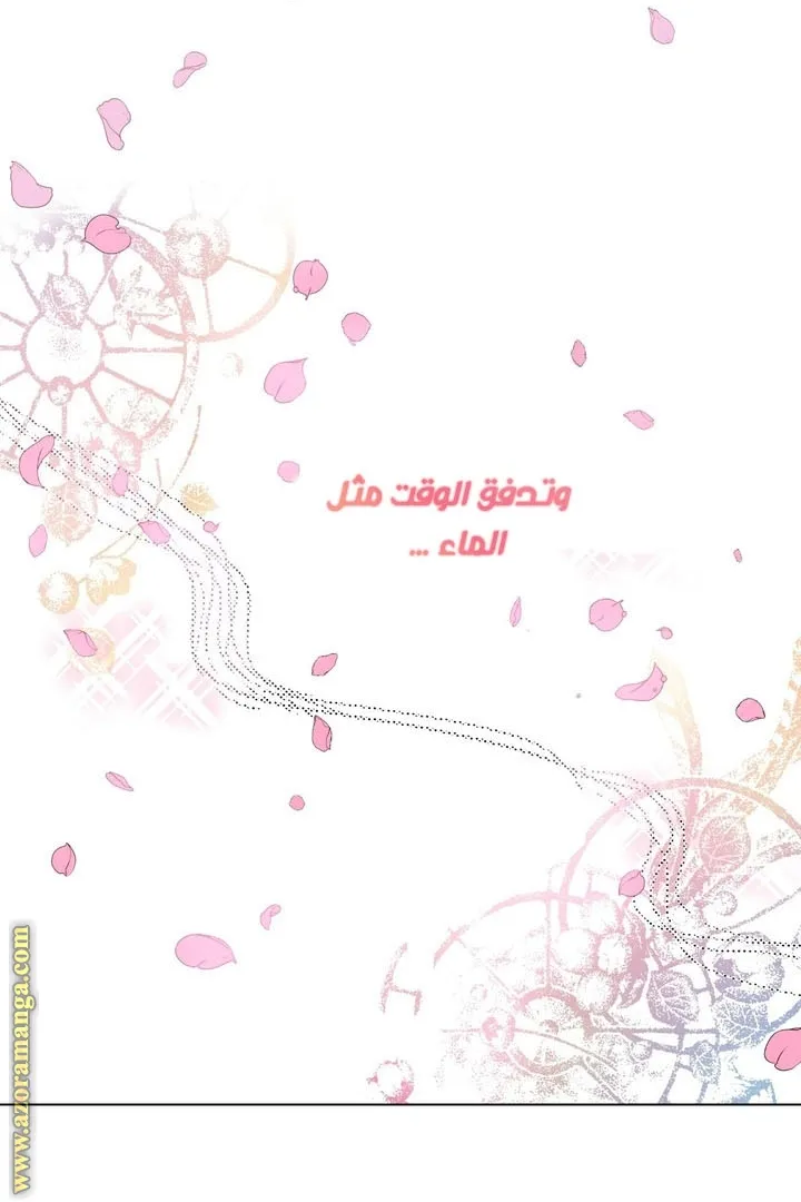 الصفحة 43 من 63