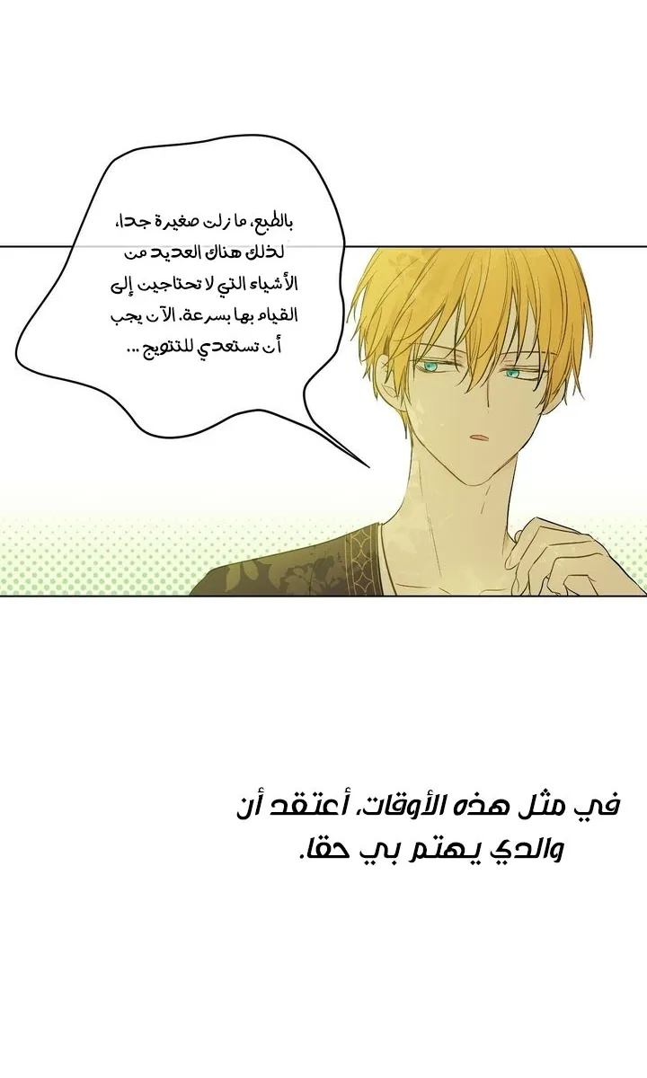الصفحة 40 من 63