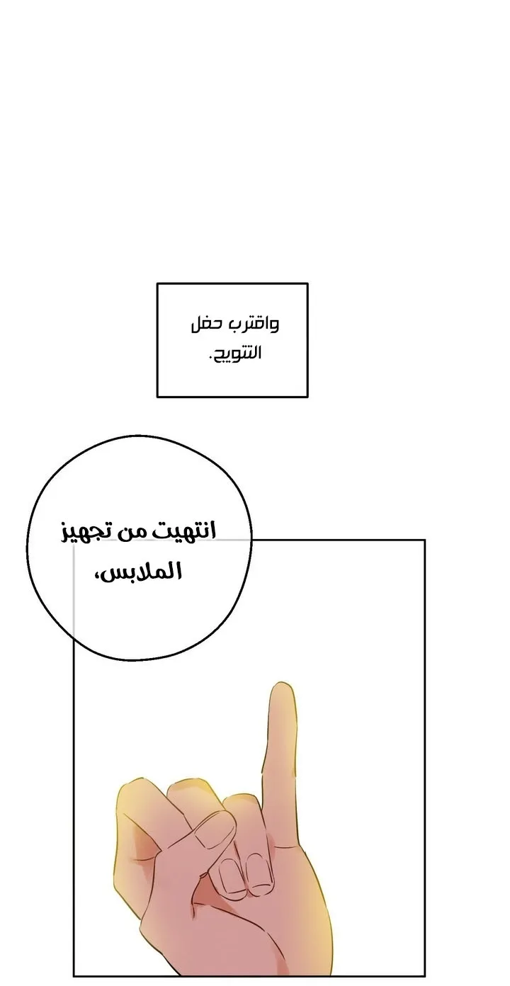 الصفحة 44 من 63