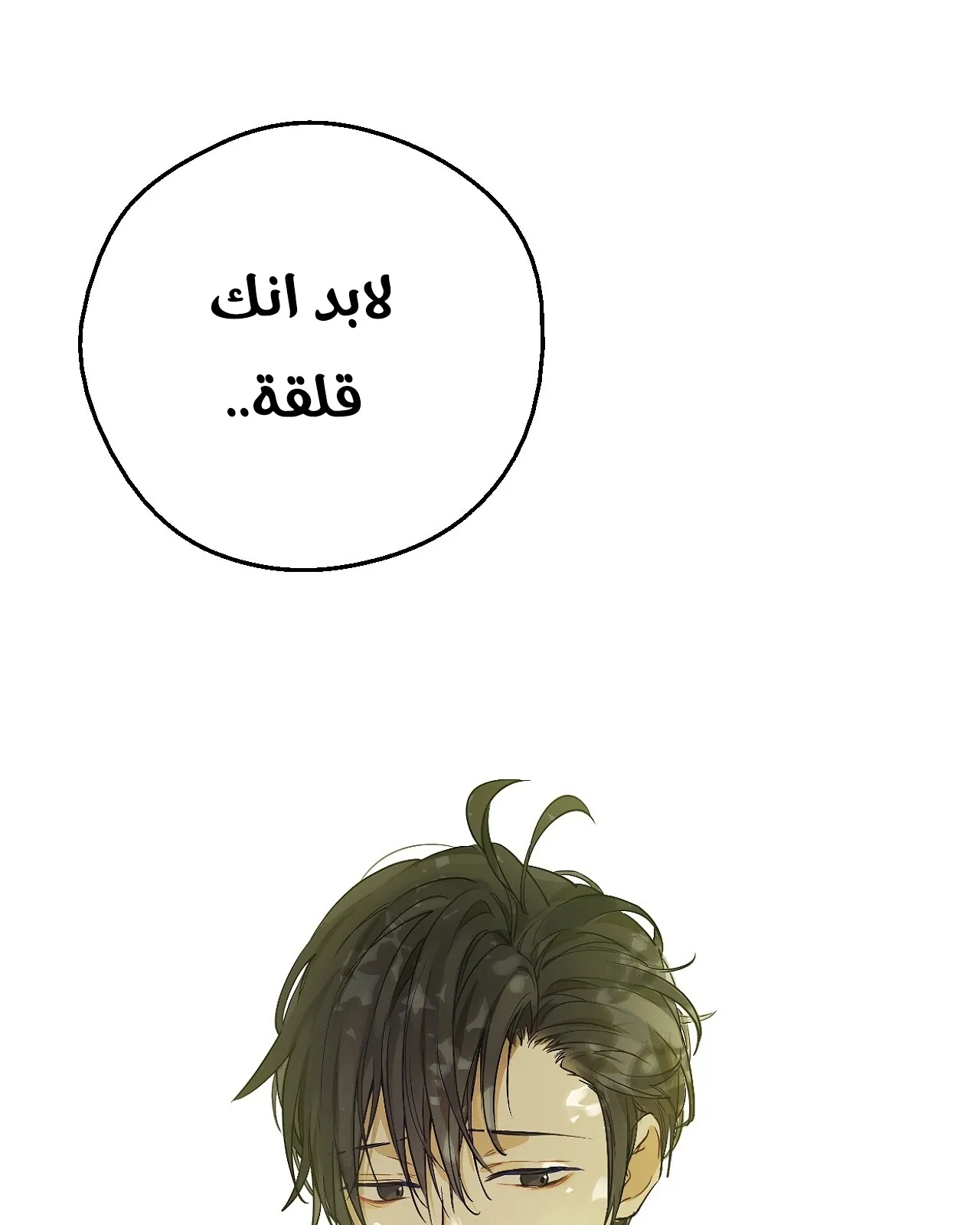 الصفحة 3 من 121