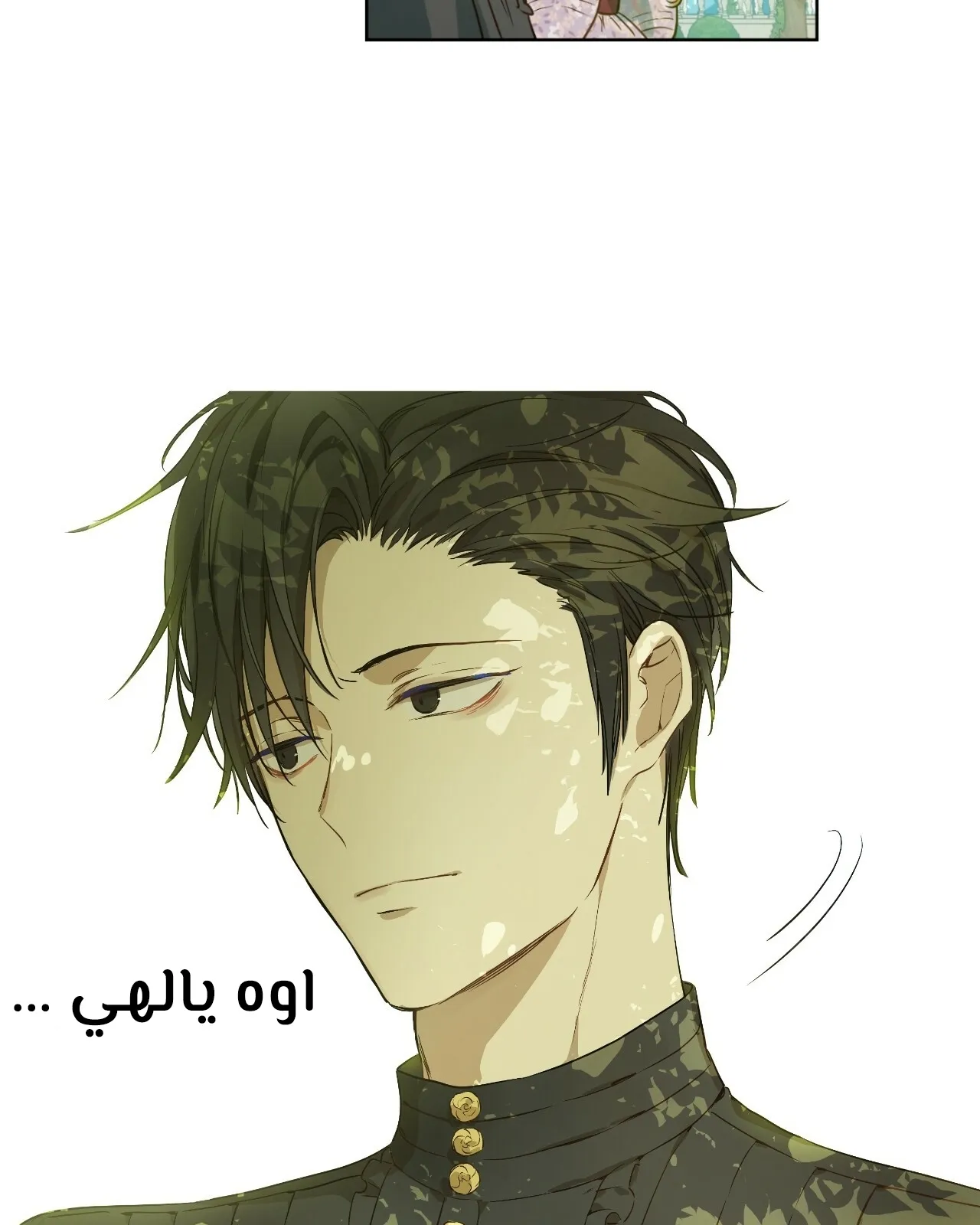 الصفحة 20 من 121