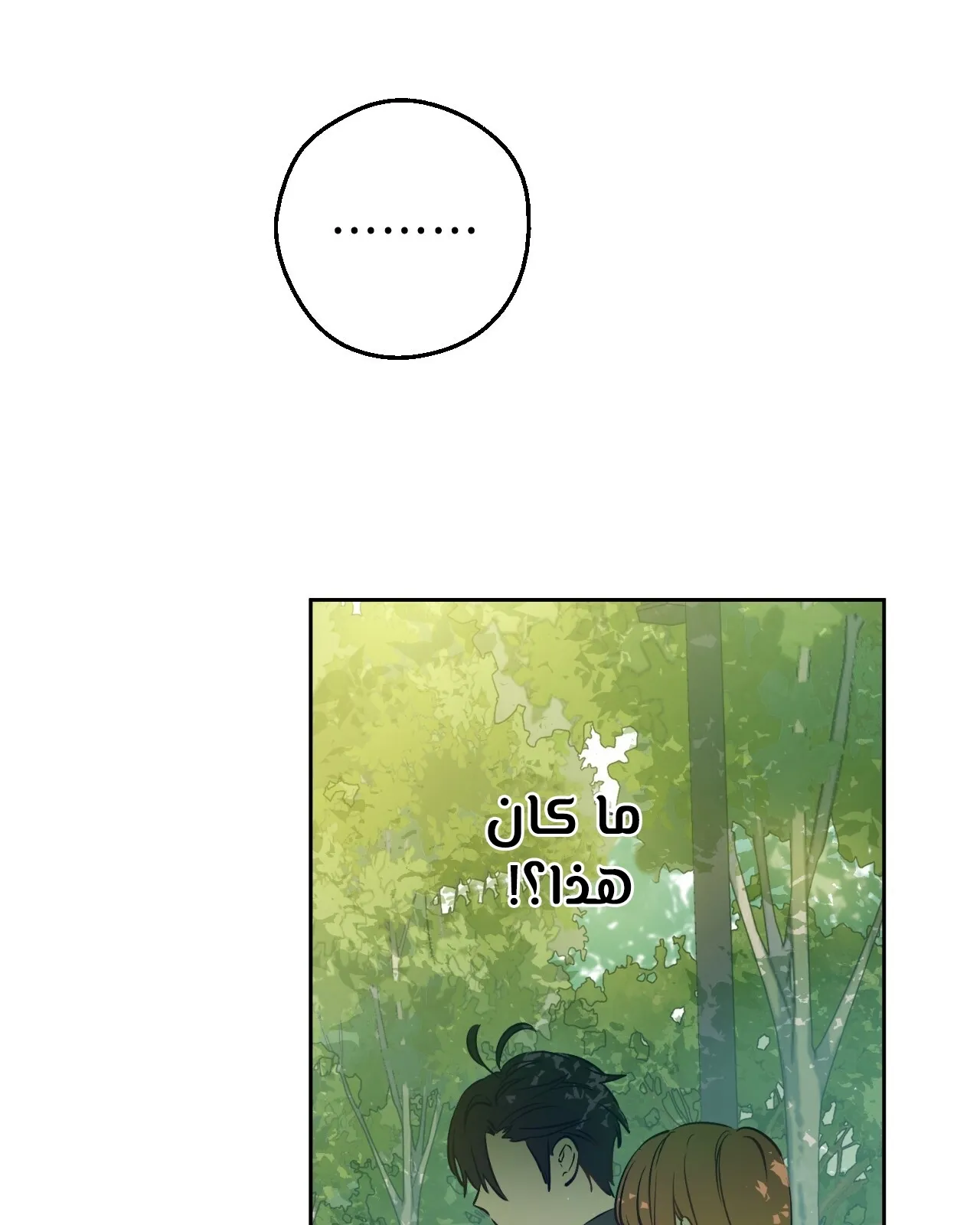 الصفحة 41 من 121
