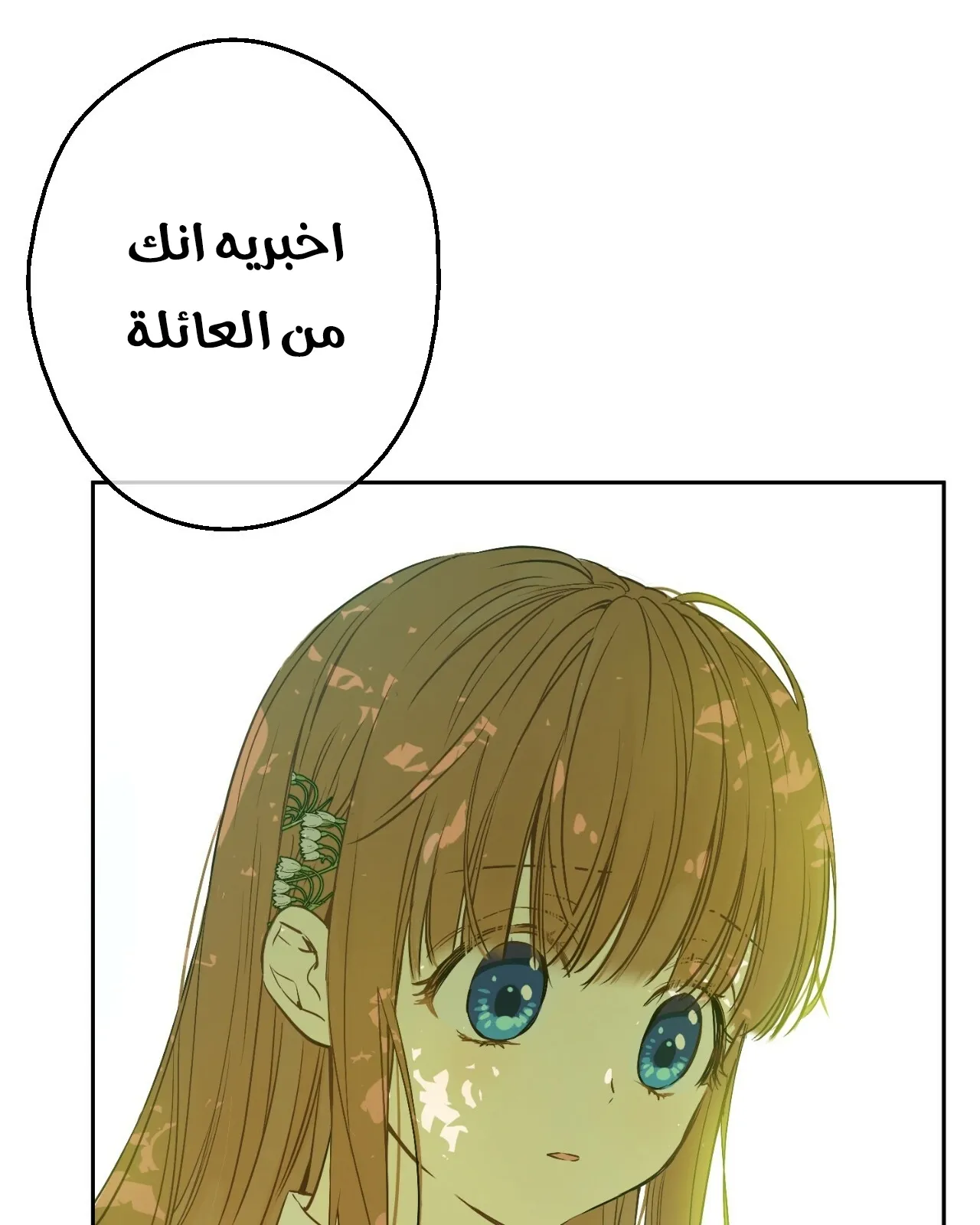الصفحة 14 من 121