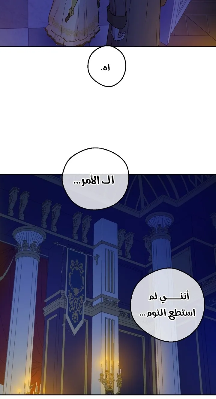 الصفحة 42 من 73