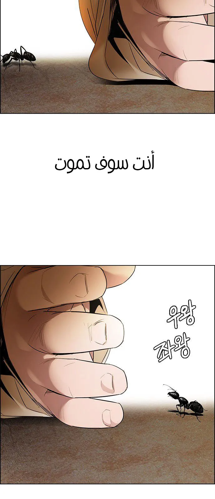 الصفحة 11 من 73