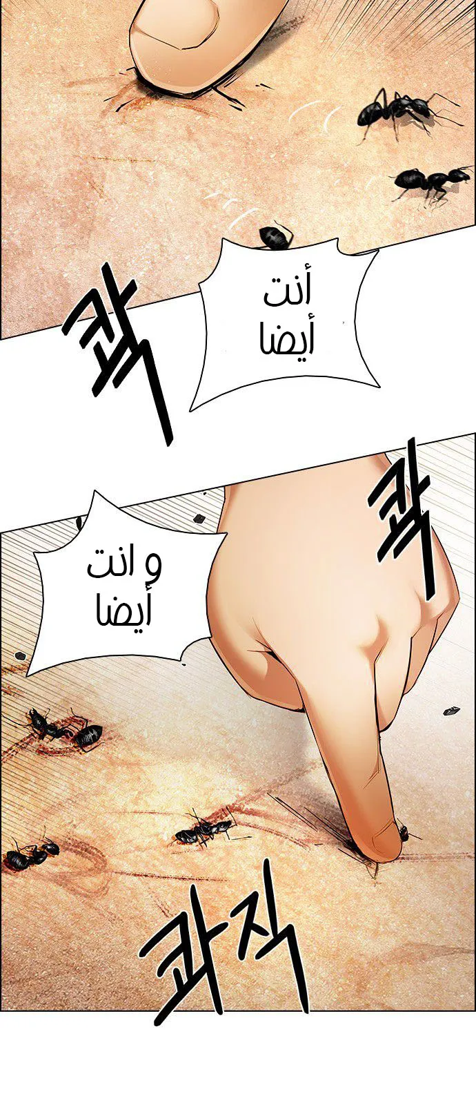 الصفحة 13 من 73