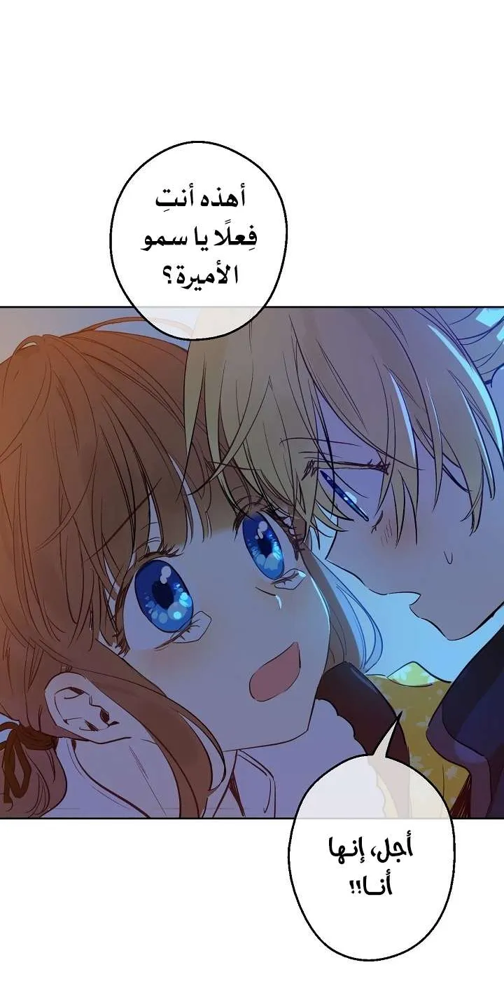 الصفحة 37 من 58