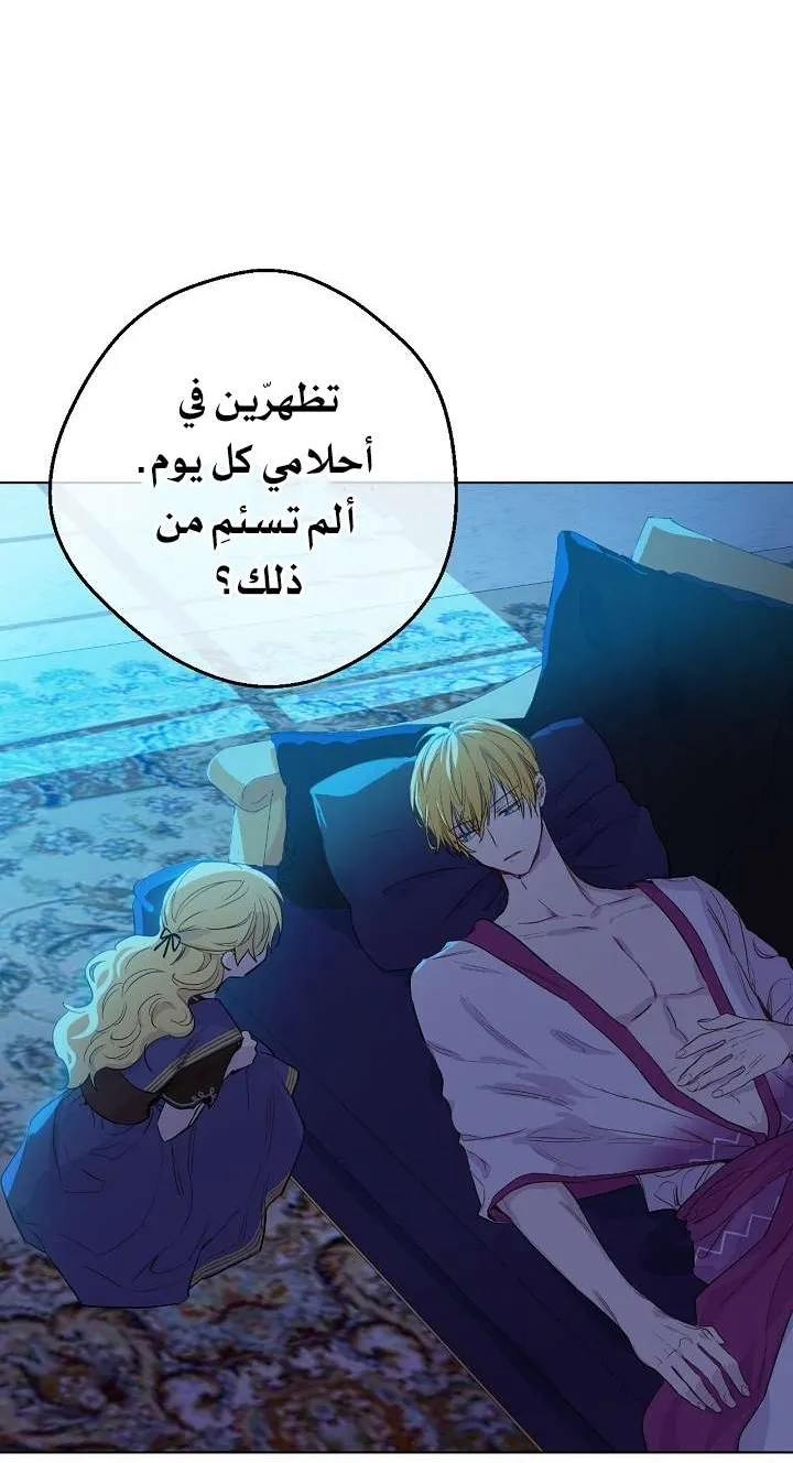 الصفحة 17 من 58