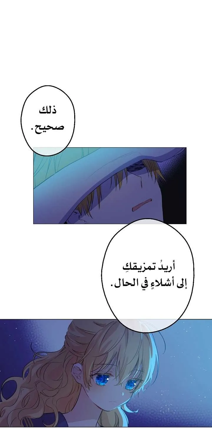 الصفحة 21 من 58
