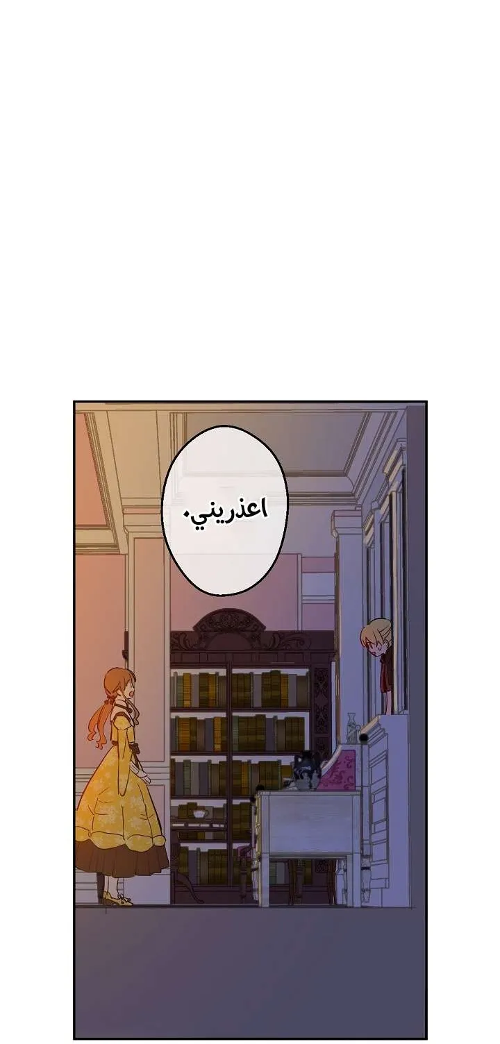 الصفحة 34 من 58