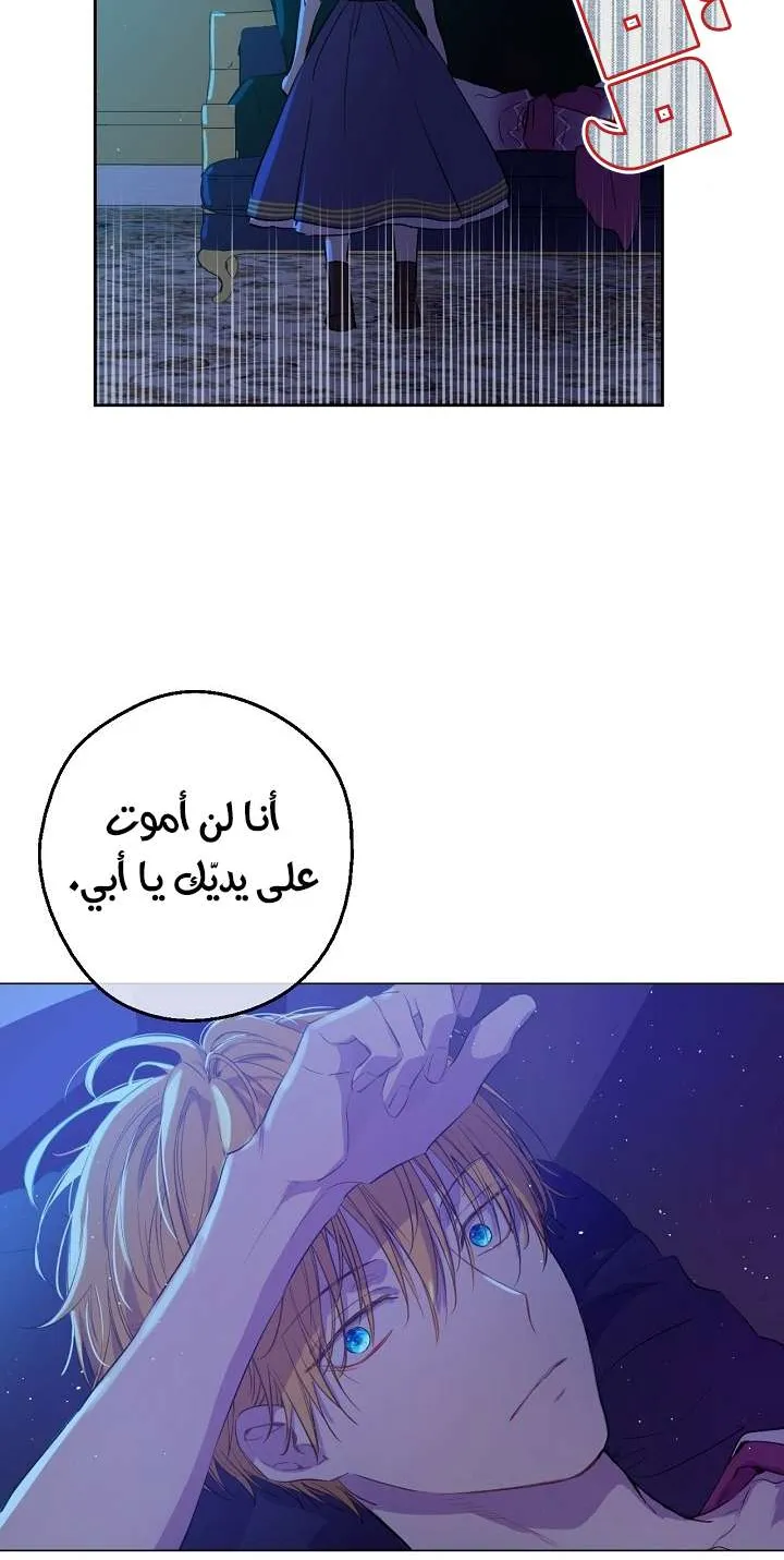الصفحة 23 من 58