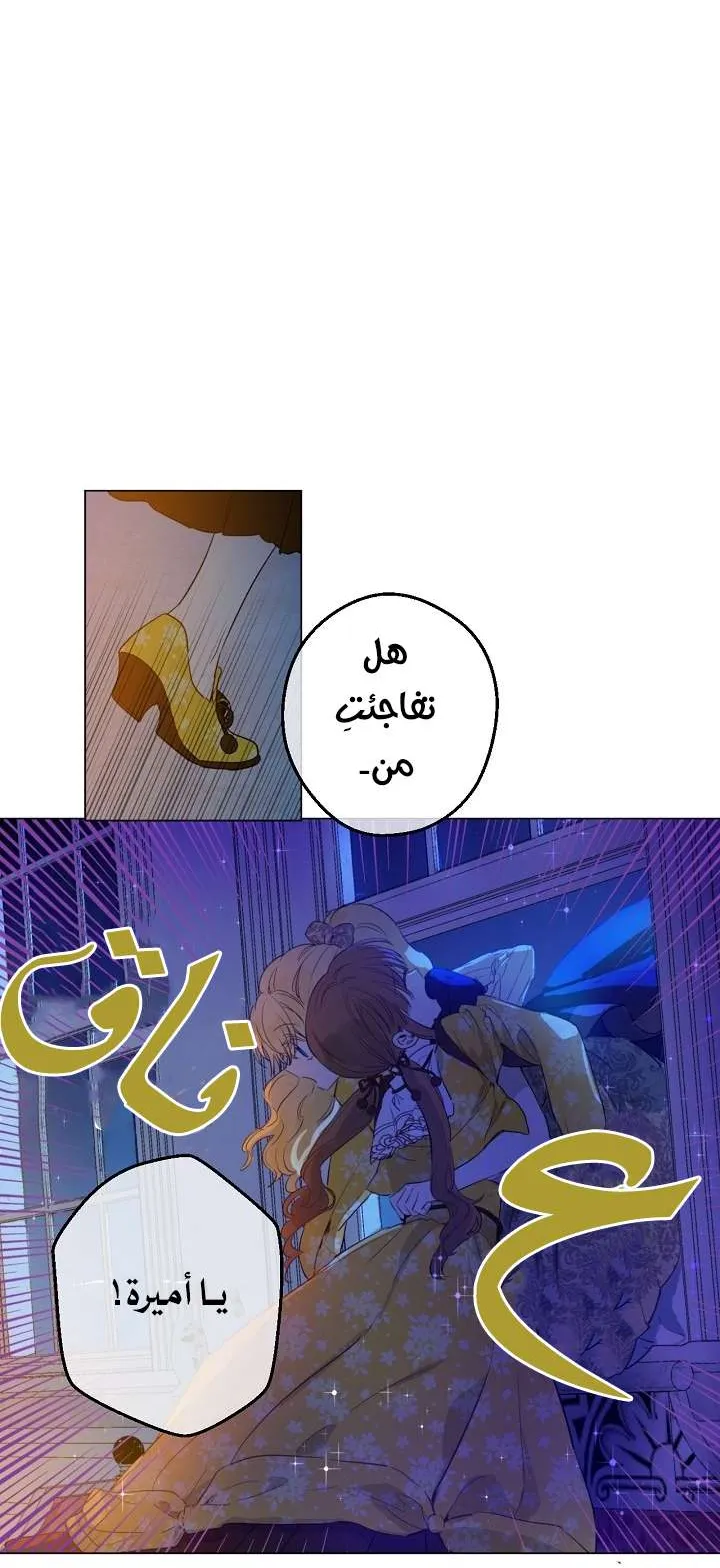 الصفحة 36 من 58