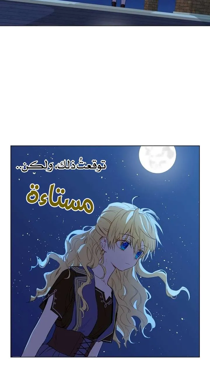 الصفحة 28 من 58