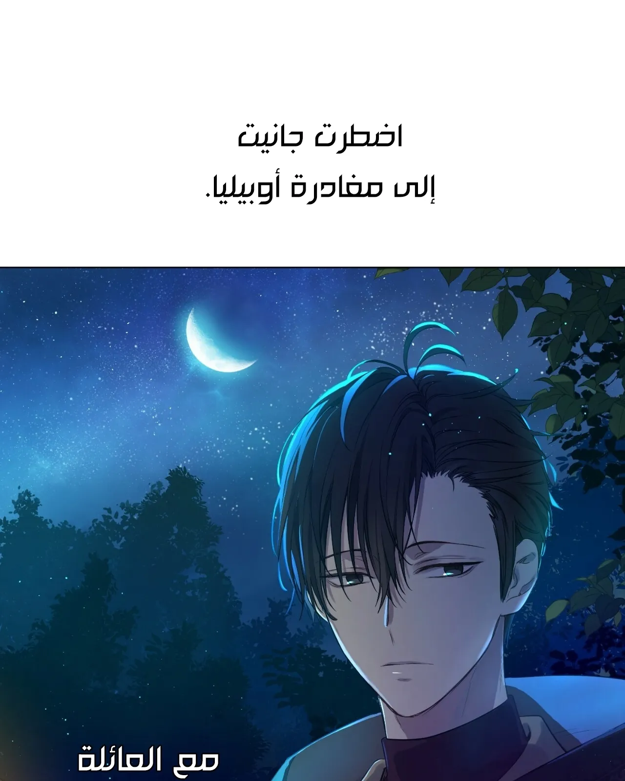 الصفحة 12 من 117