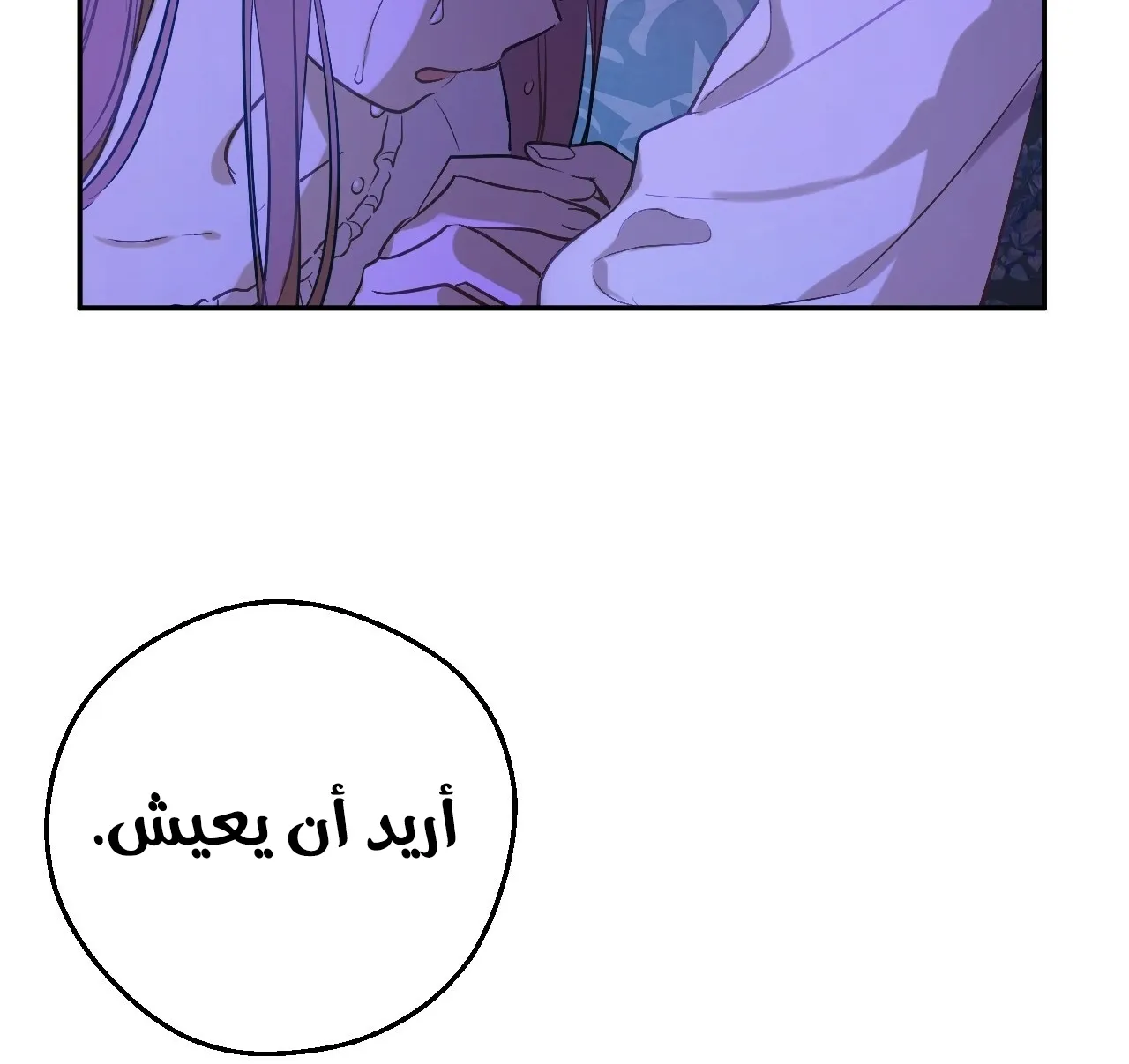 الصفحة 28 من 117