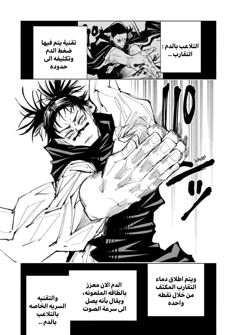 الصفحة 12 من 17