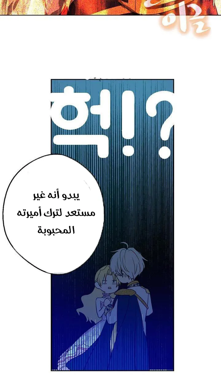 الصفحة 61 من 74