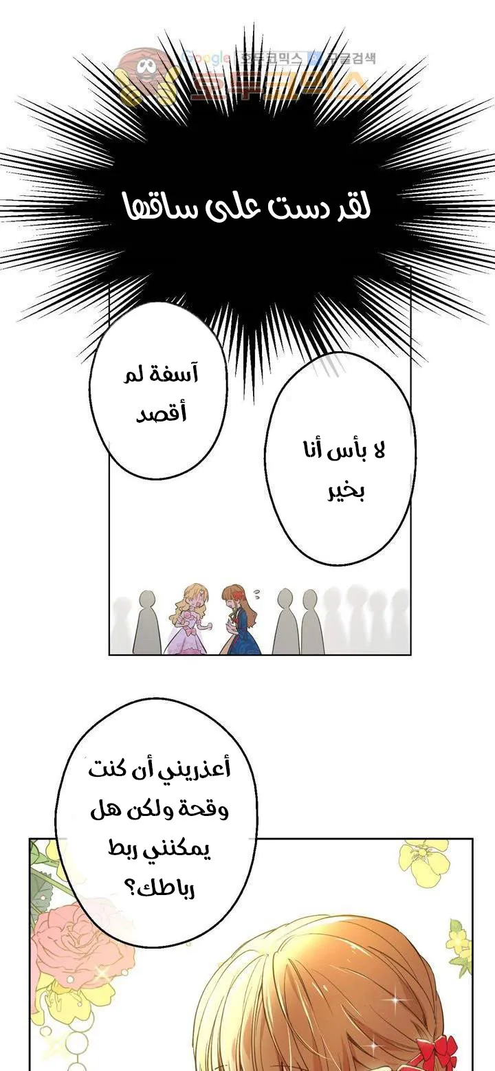 الصفحة 41 من 74