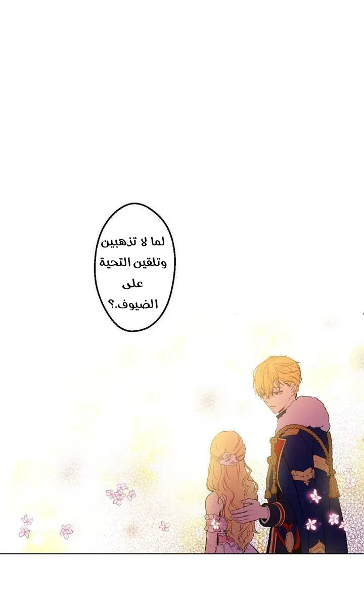 الصفحة 17 من 74