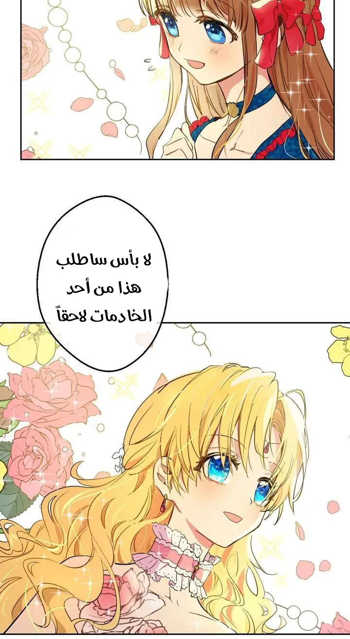الصفحة 42 من 74