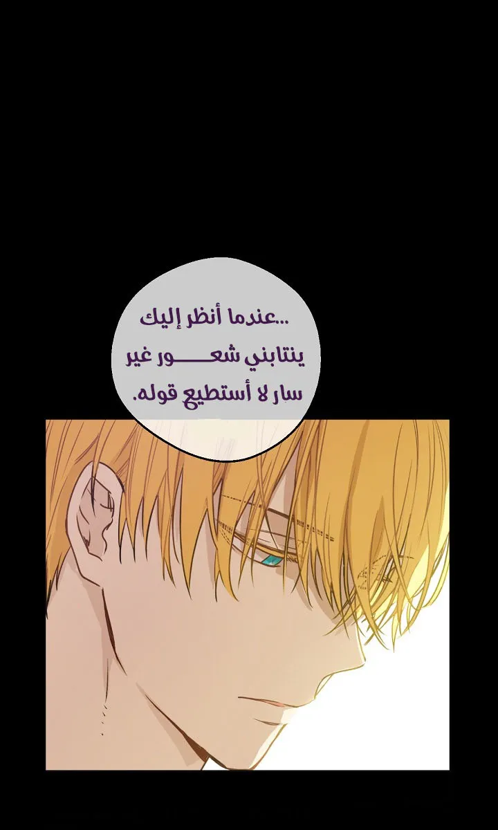 الصفحة 17 من 56