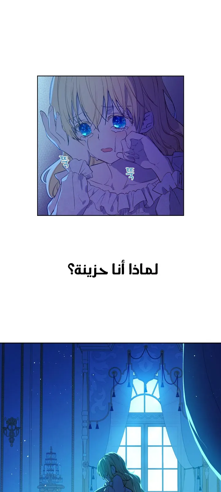الصفحة 24 من 56
