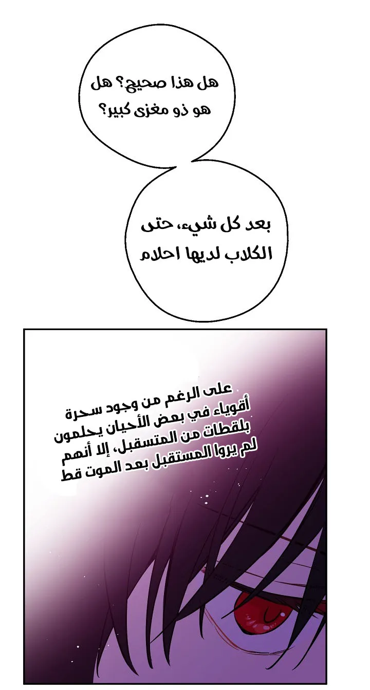 الصفحة 48 من 56