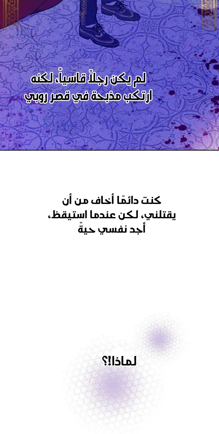 الصفحة 13 من 56