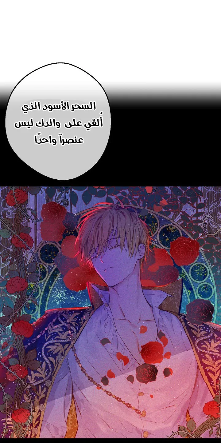 الصفحة 51 من 56