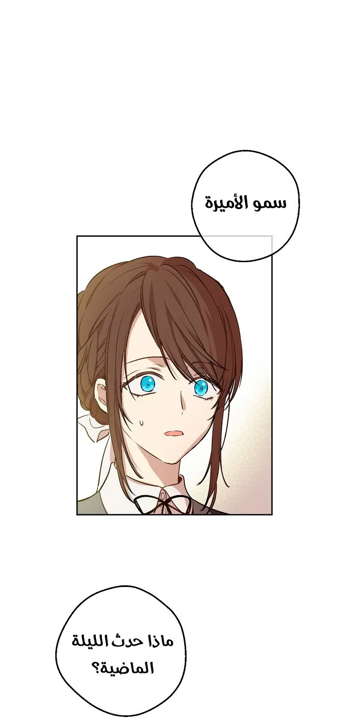 الصفحة 29 من 56