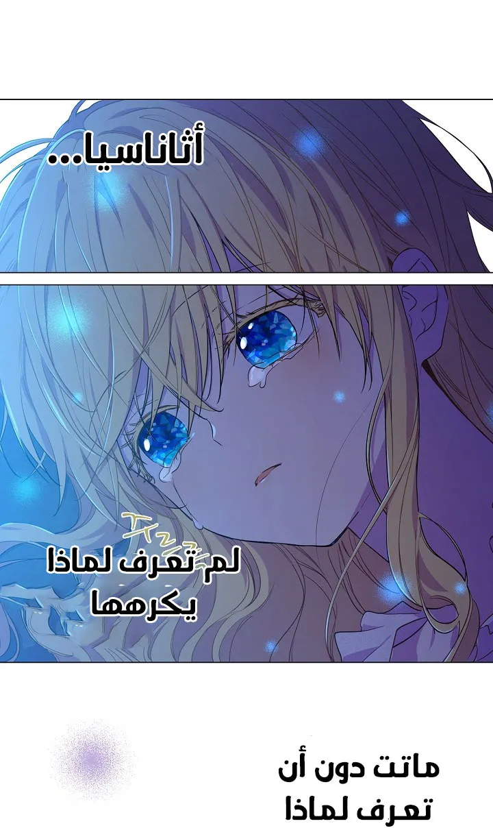 الصفحة 22 من 56