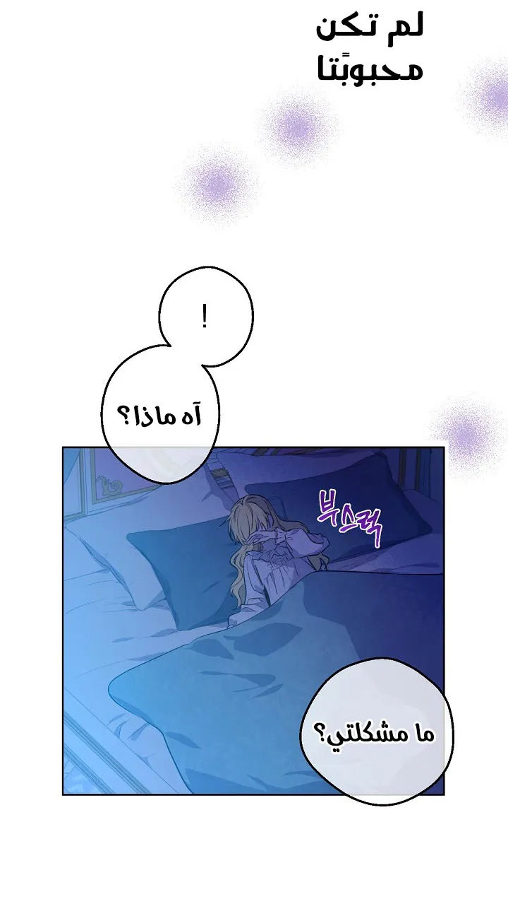 الصفحة 23 من 56