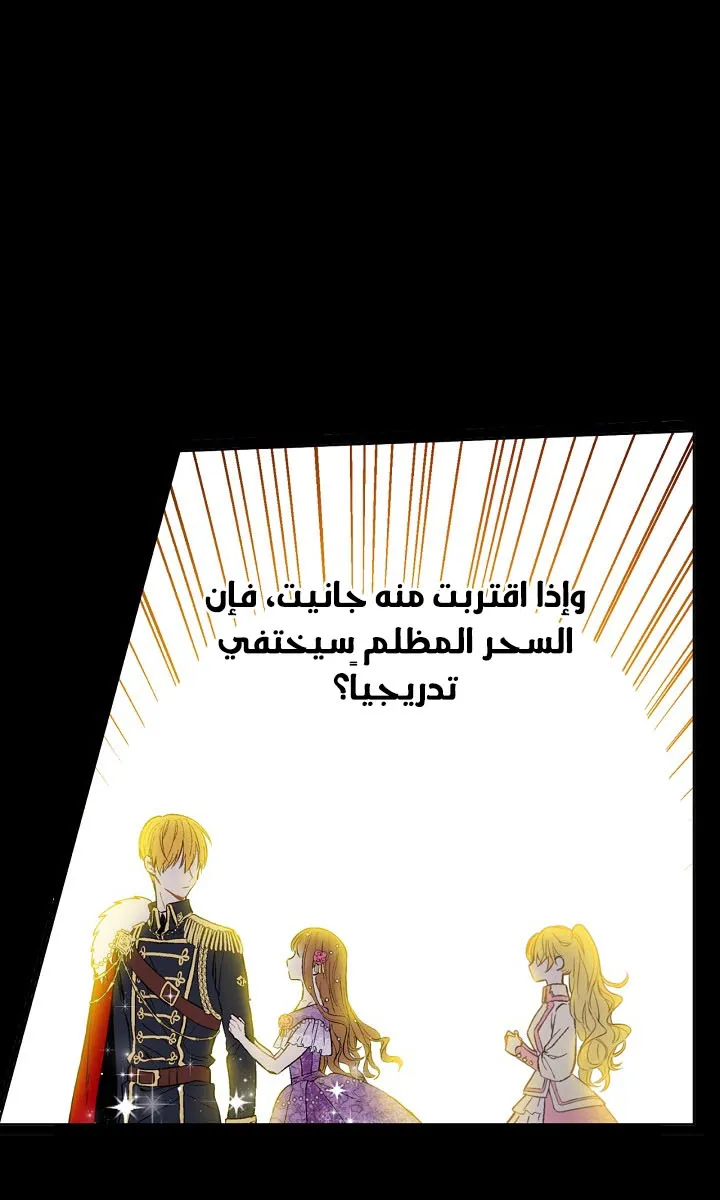 الصفحة 19 من 56