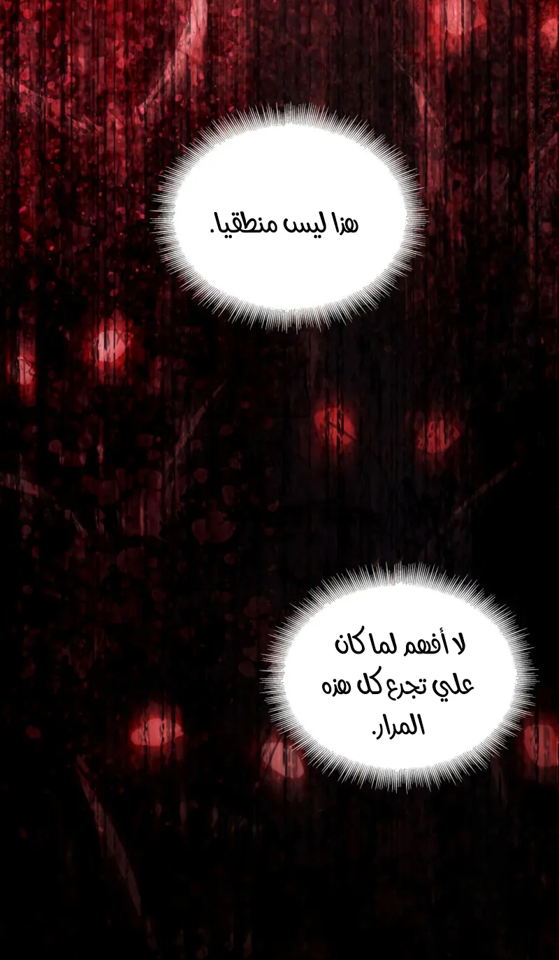 الصفحة 12 من 81